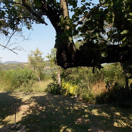 Leopard Tree Retreat Βίλα Νέλσπρουιτ Εξωτερικό φωτογραφία