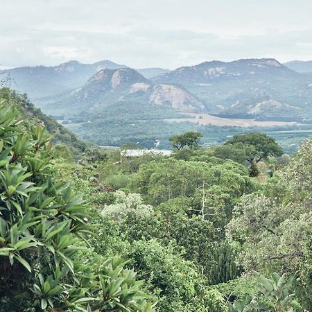 Leopard Tree Retreat Βίλα Νέλσπρουιτ Εξωτερικό φωτογραφία