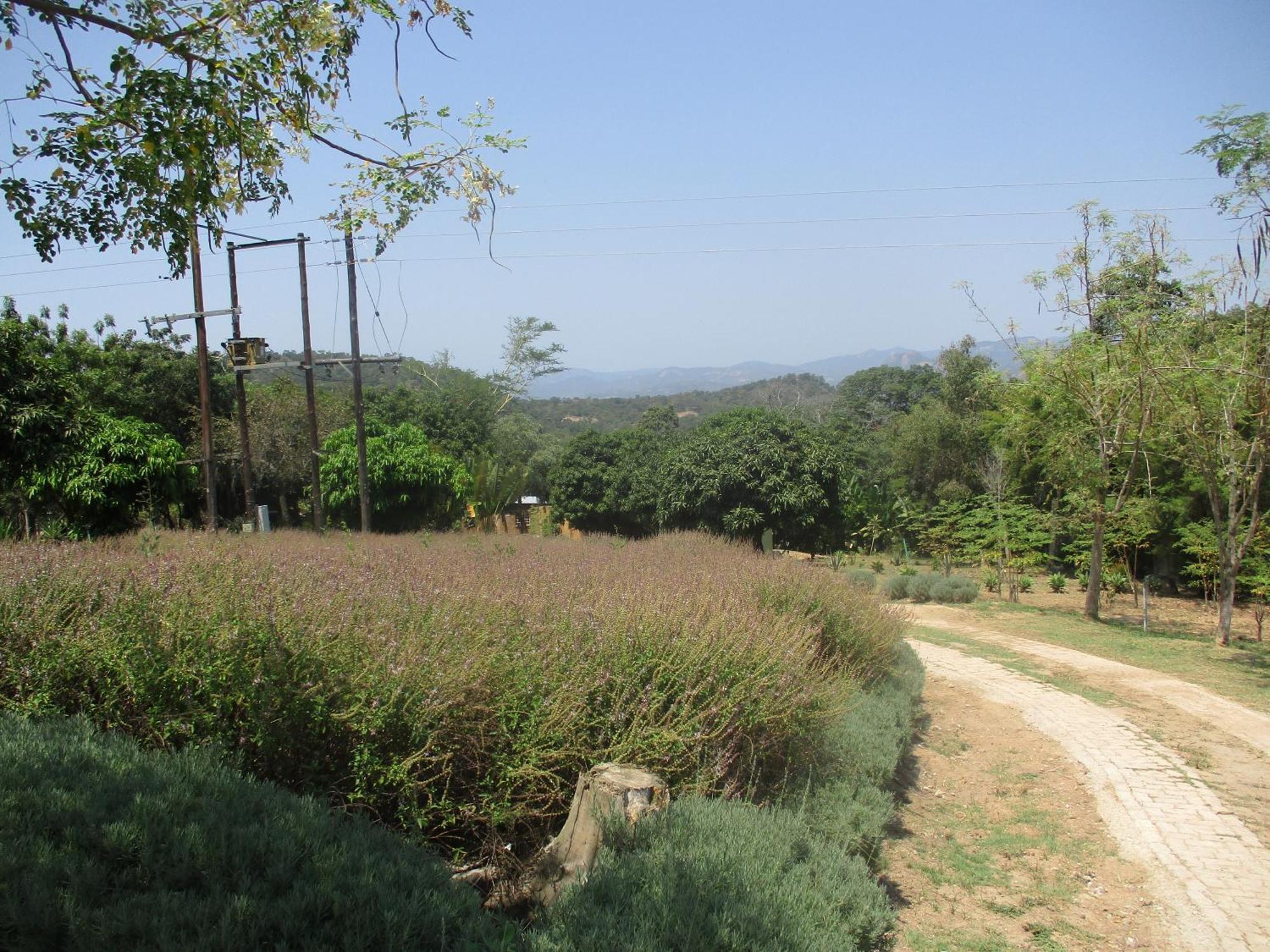 Leopard Tree Retreat Βίλα Νέλσπρουιτ Εξωτερικό φωτογραφία