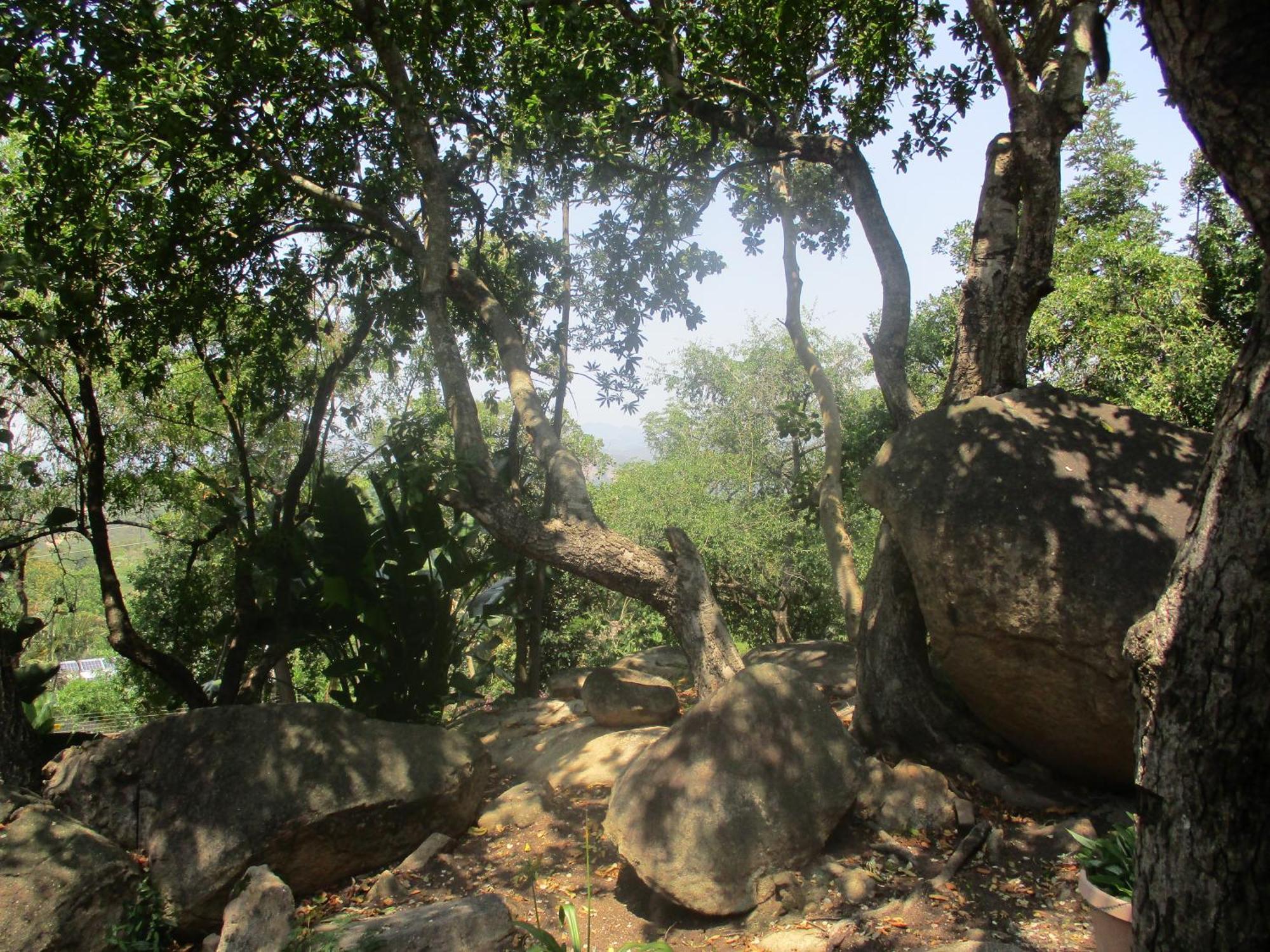 Leopard Tree Retreat Βίλα Νέλσπρουιτ Εξωτερικό φωτογραφία