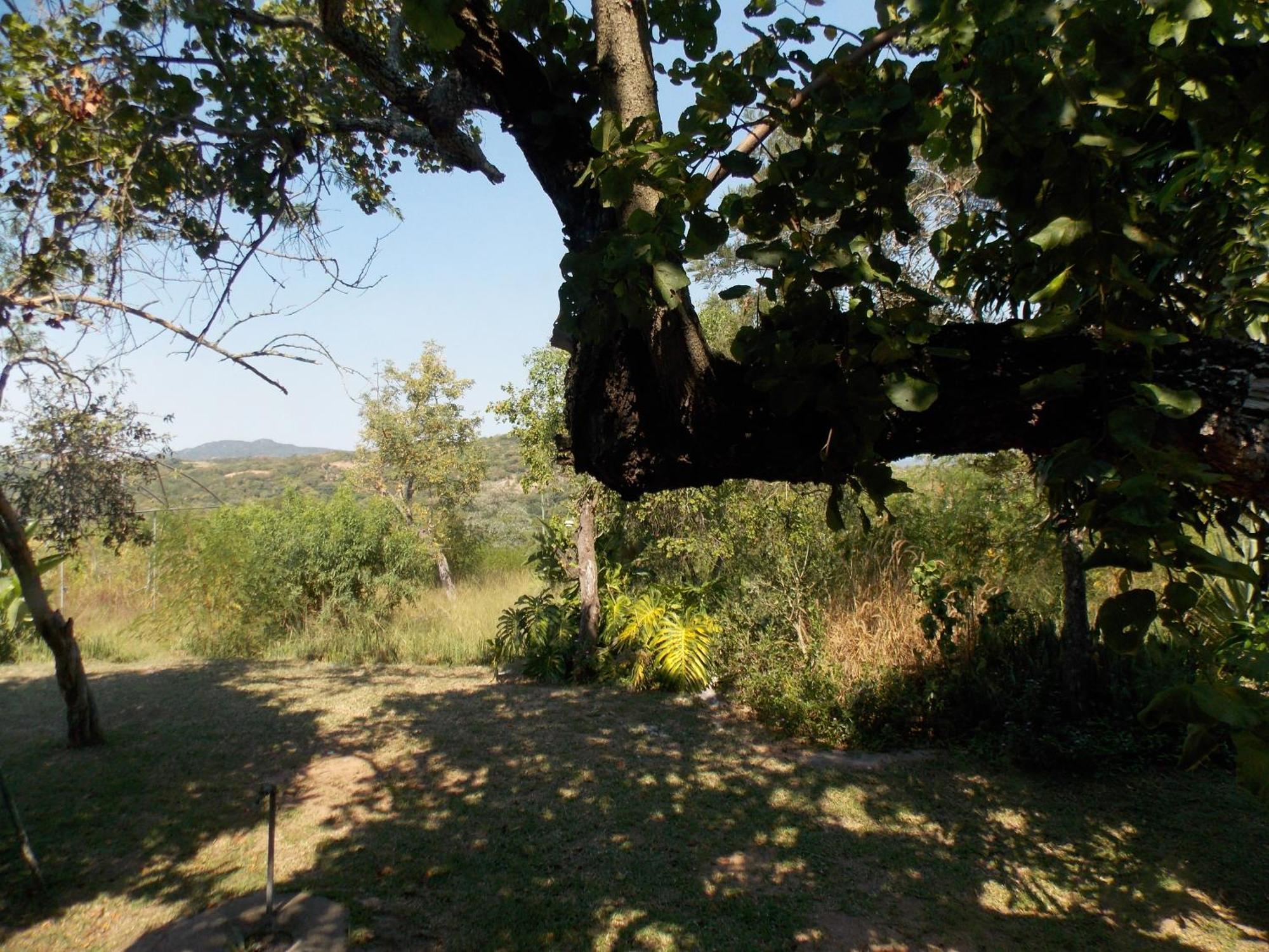Leopard Tree Retreat Βίλα Νέλσπρουιτ Εξωτερικό φωτογραφία