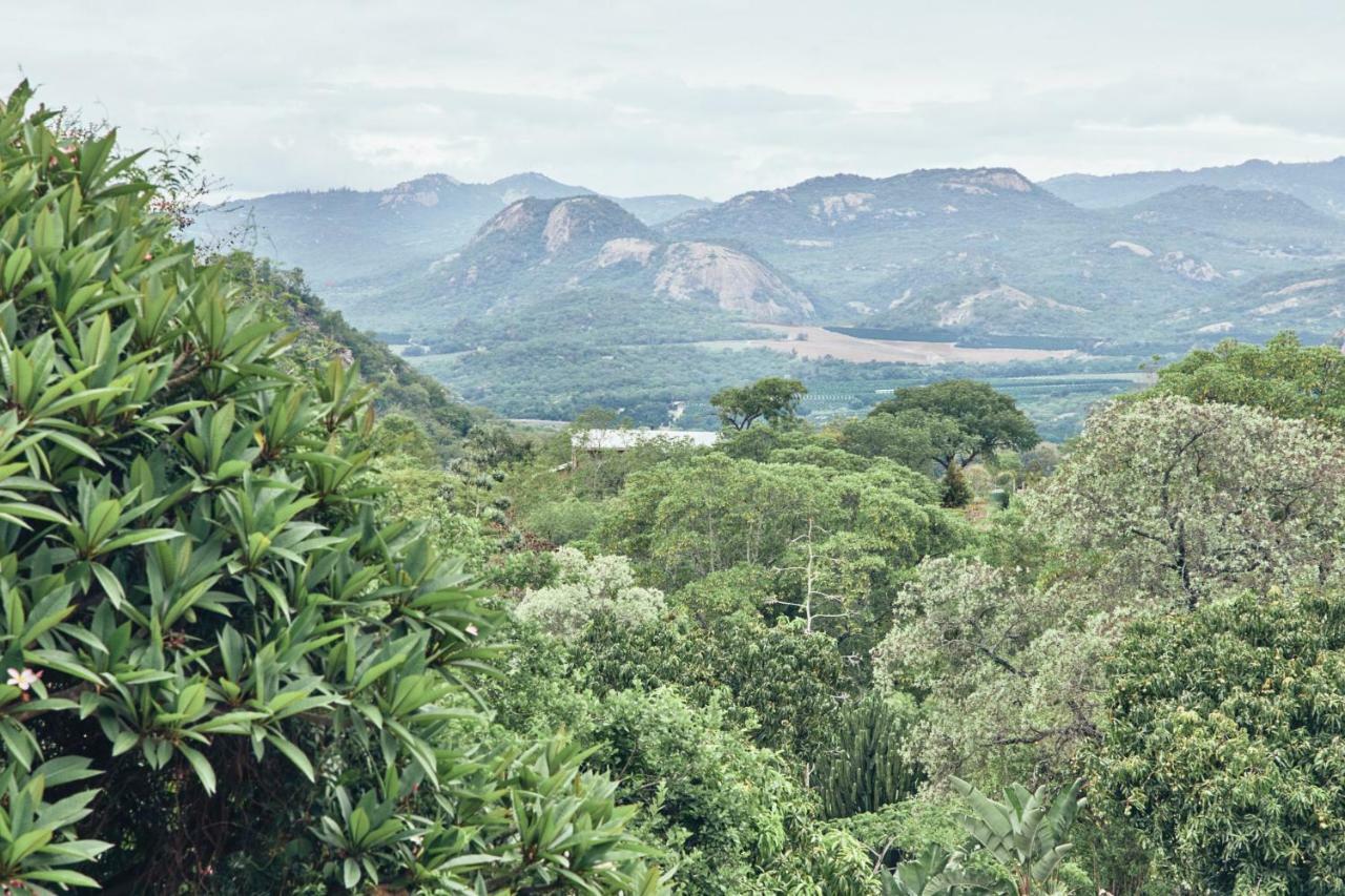 Leopard Tree Retreat Βίλα Νέλσπρουιτ Εξωτερικό φωτογραφία